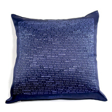 Load image into Gallery viewer, USNA Pillow Cover—Doors
