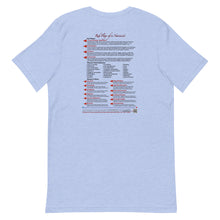 Load image into Gallery viewer, Red Flags of a Narcissist—Unisex T-Shirt—Bella + Canvas 3001