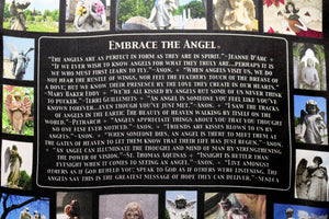 Embrace the Angel—Scarf